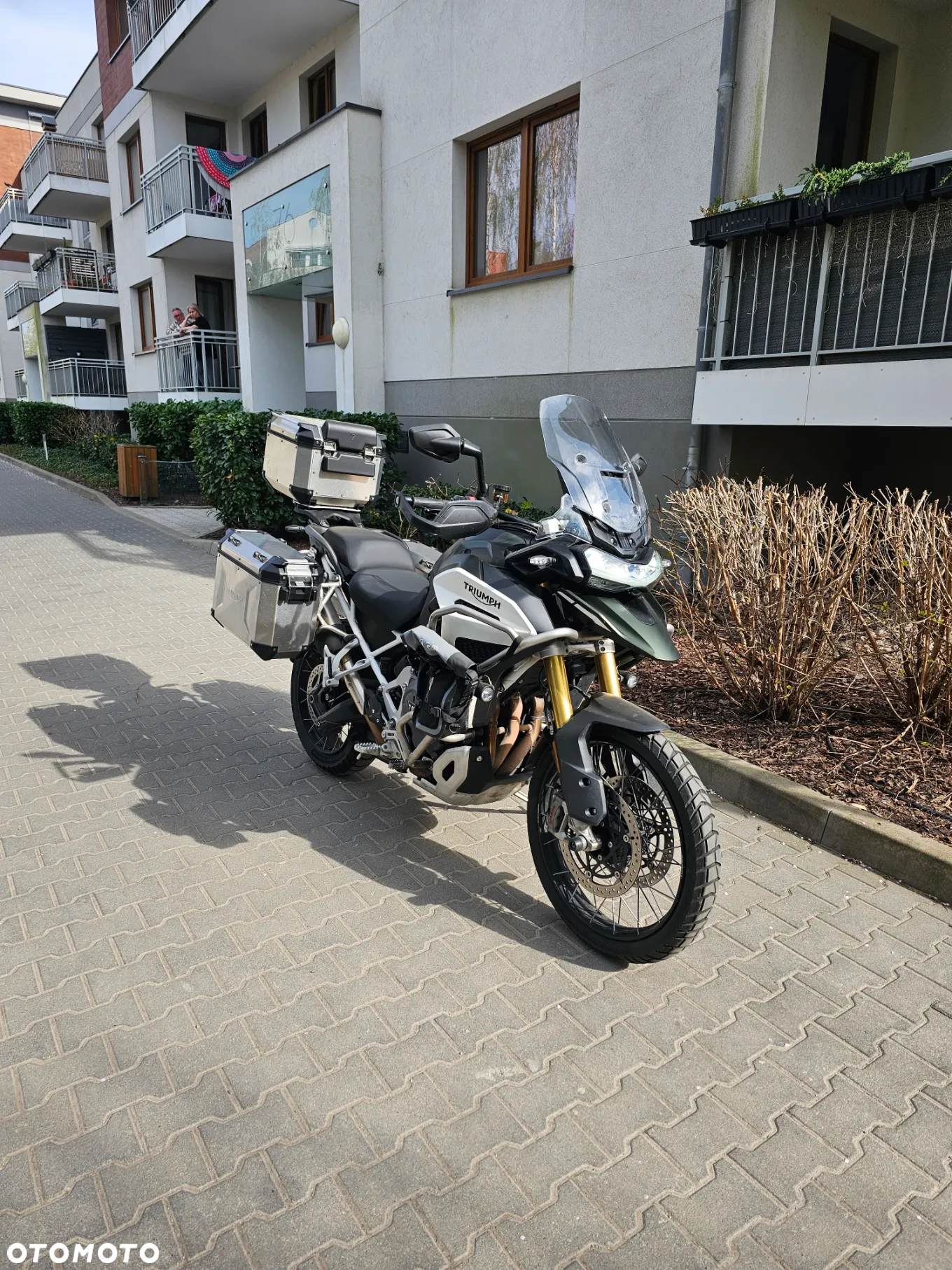Triumph Tiger - 2