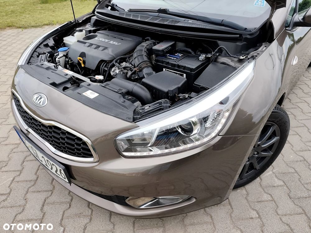Kia Ceed 1.6 CRDi 128 Fifa World Cup Edition - 15