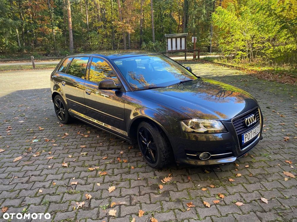Audi A3 Sportback 1.6 TDI DPF Ambition - 11
