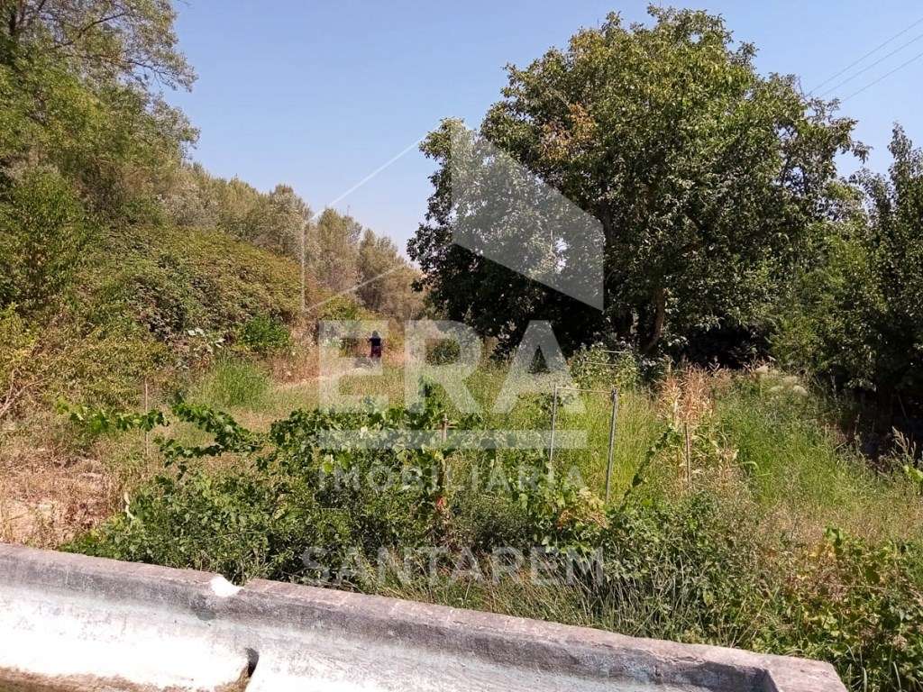 Terrenos Rústico com 10.740m2 - Grande imagem: 3/7