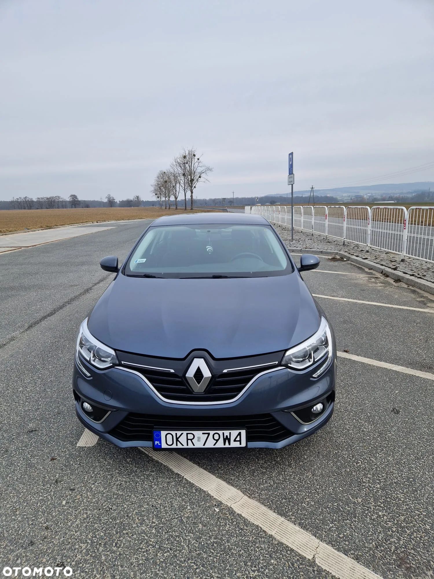 Renault Megane - 1
