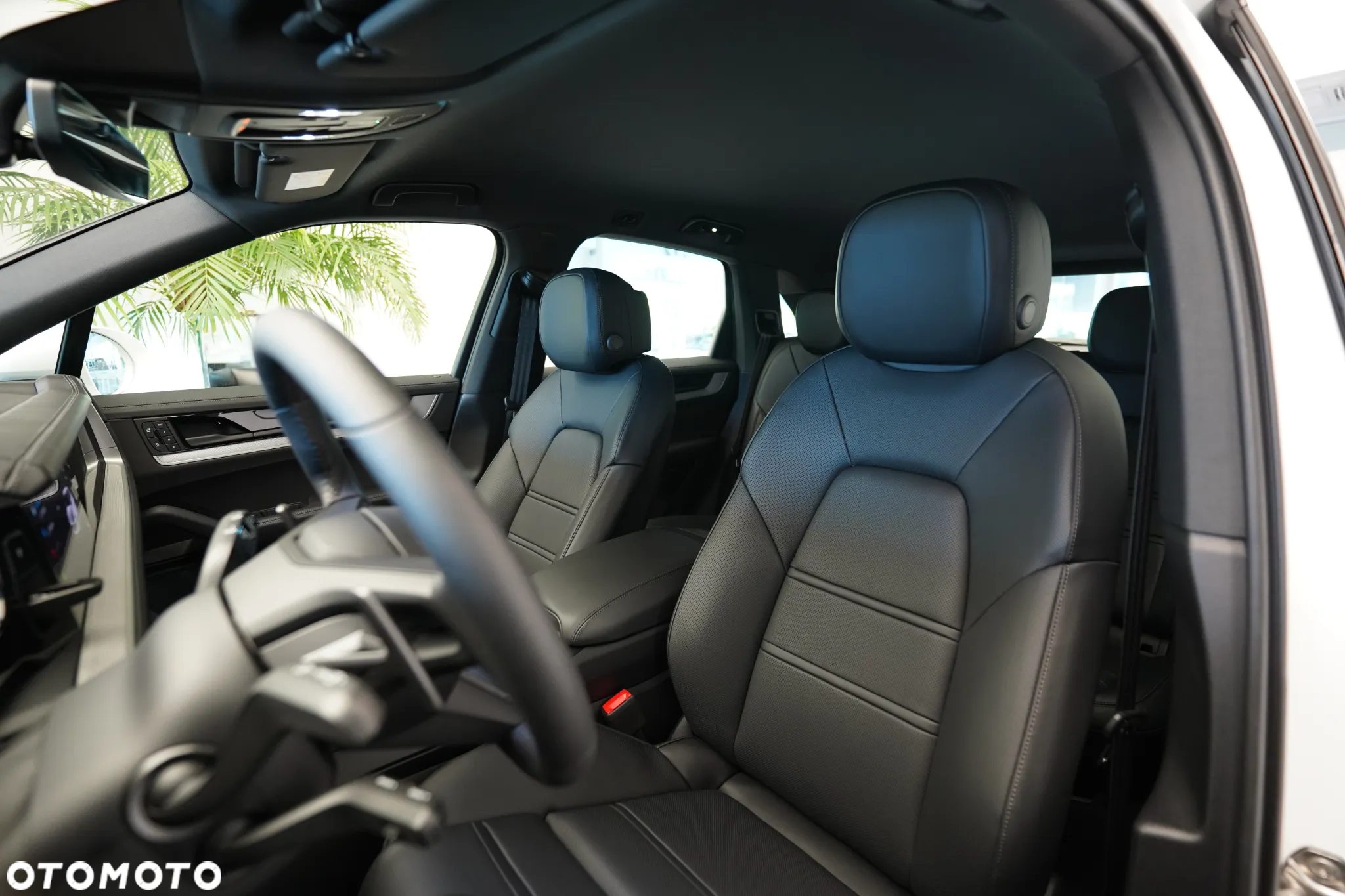 Porsche Cayenne E-Hybrid - 10