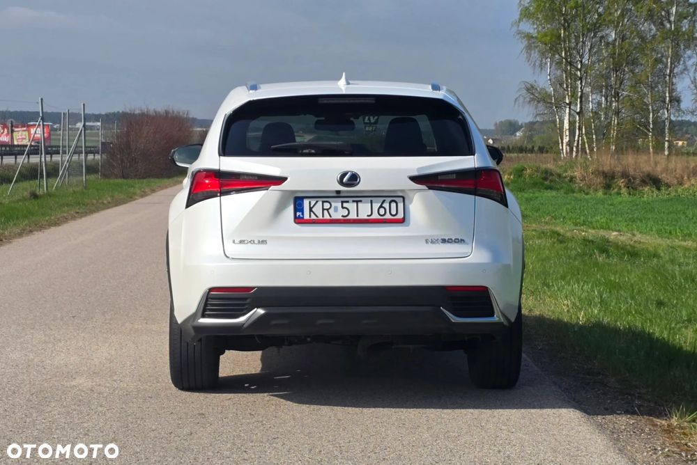 Lexus NX 300h F Impression AWD - 14