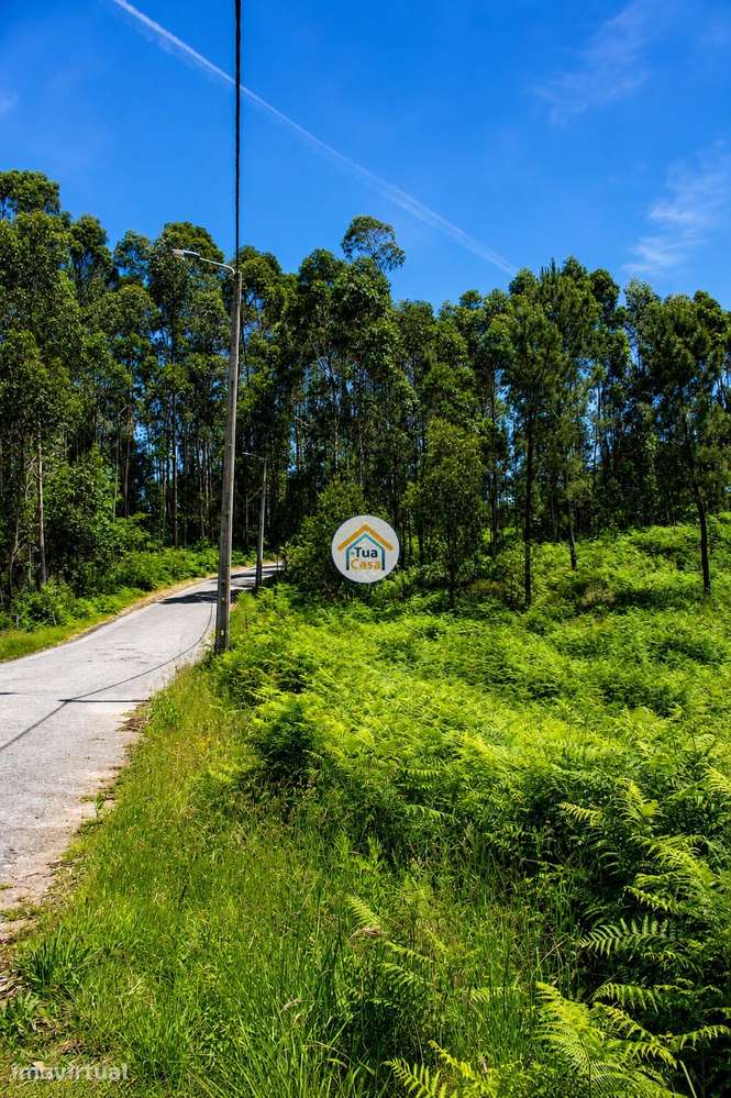 Terreno para Construção em Zona de Elevado Potencial –  Olival | Vila - Grande imagem: 2/7