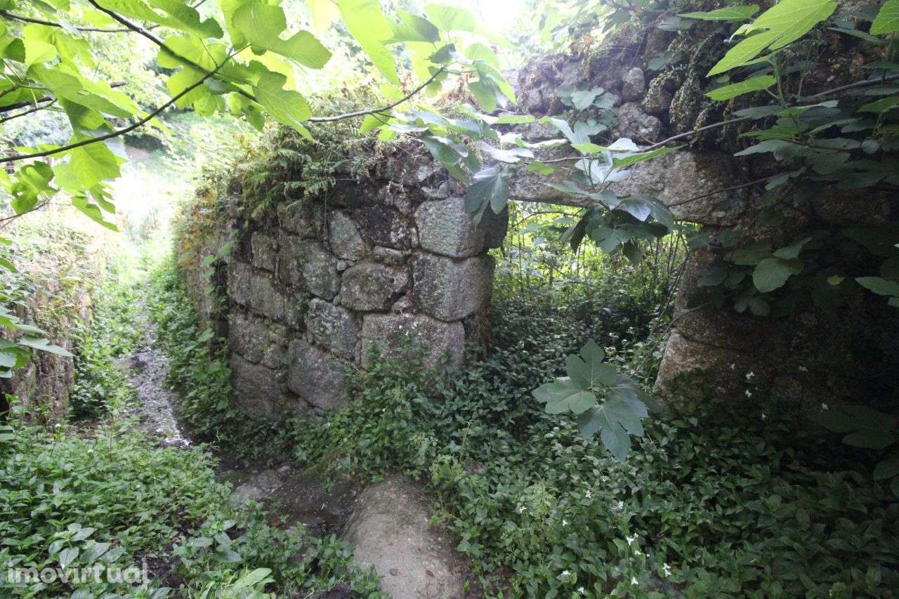 Moinho Junto a Ribeira – Grande Potencial - Grande imagem: 4/14