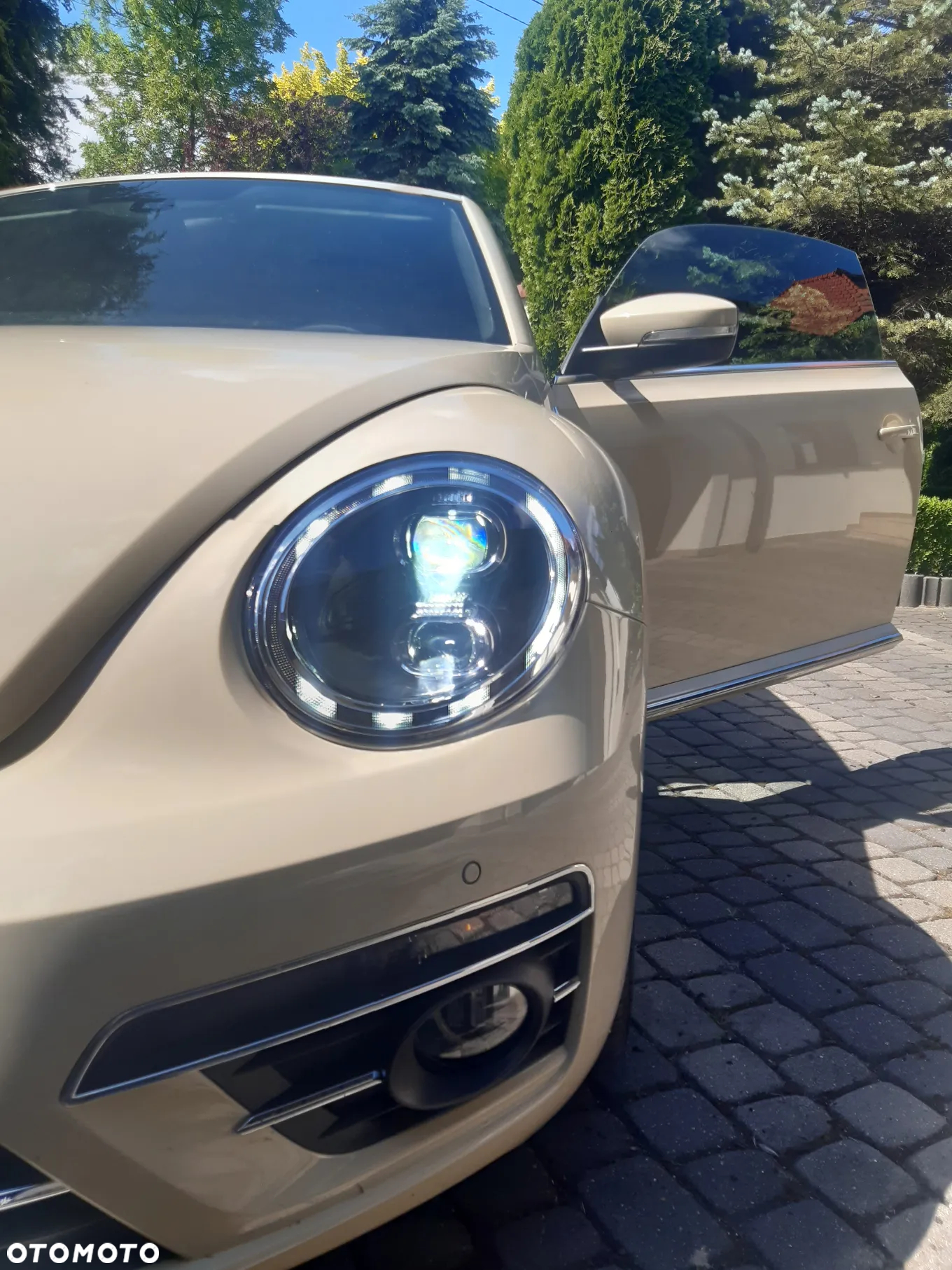 Volkswagen Beetle - 13