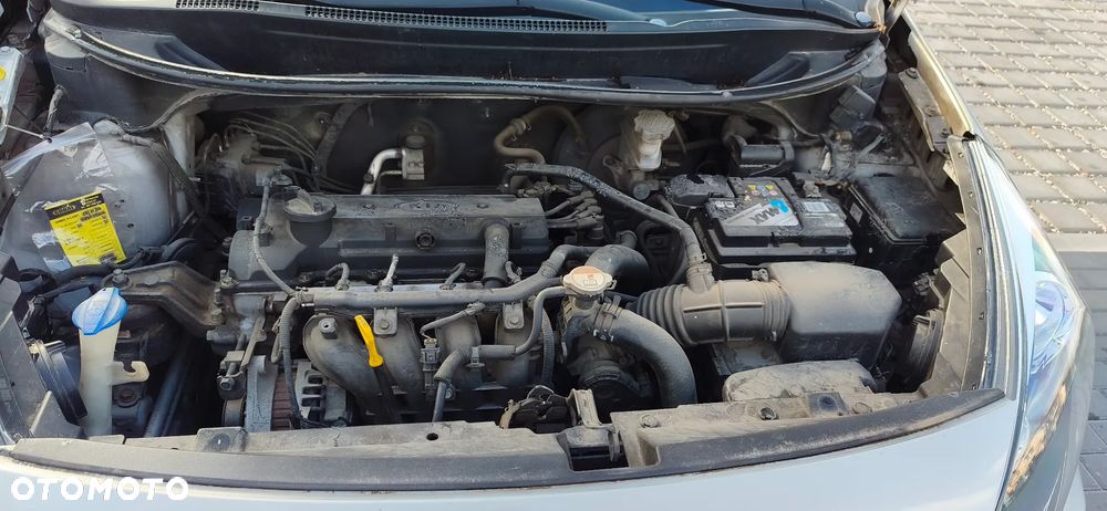 Kia Rio - 19