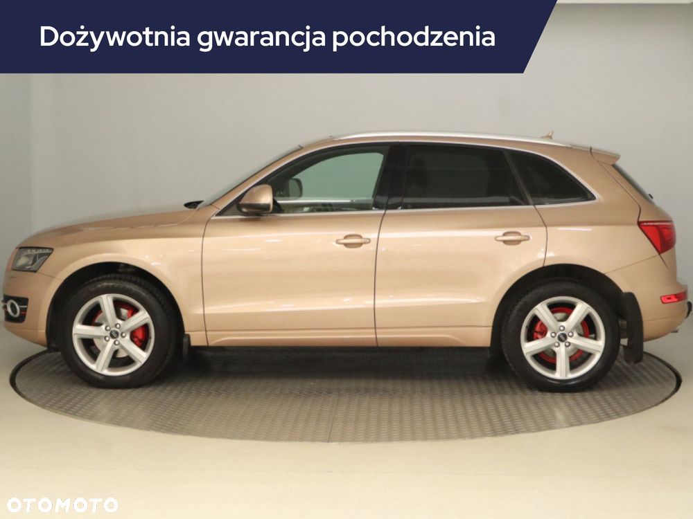 Audi Q5 2010 photo 3