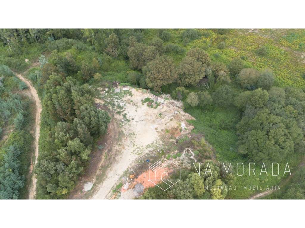 Terreno rústico com cerca de 24.700m2 na Urb. Minas do Pintor, Nogu... - Grande imagem: 3/30