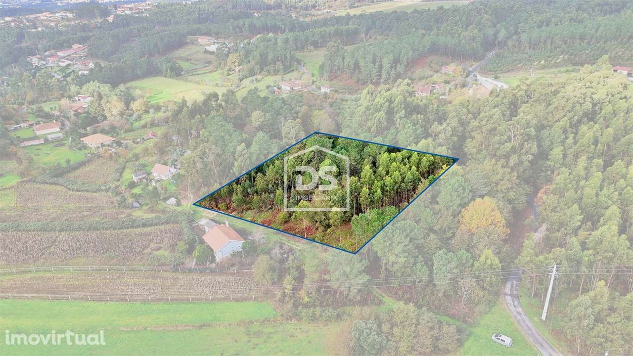 Terreno Rústico  Venda em Agilde,Celorico de Basto - Grande imagem: 2/18
