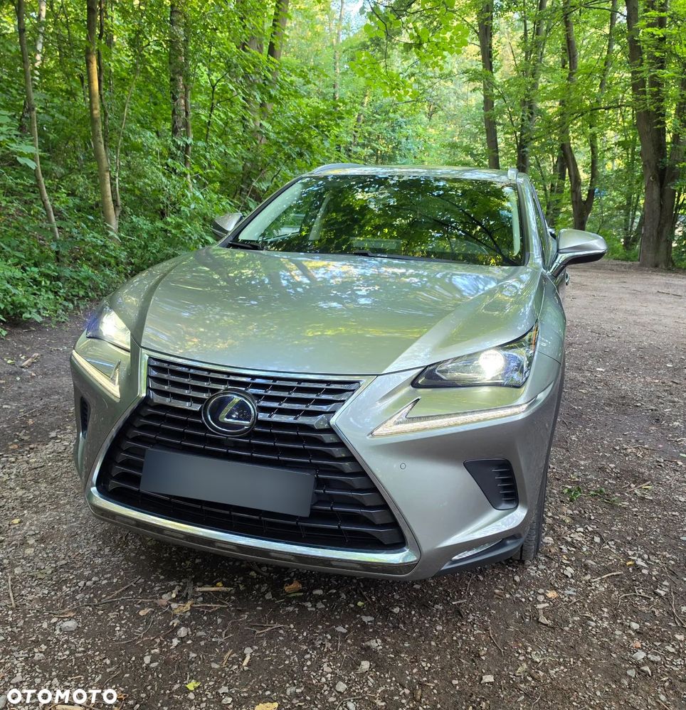 Lexus NX 300h Elegance AWD - 11