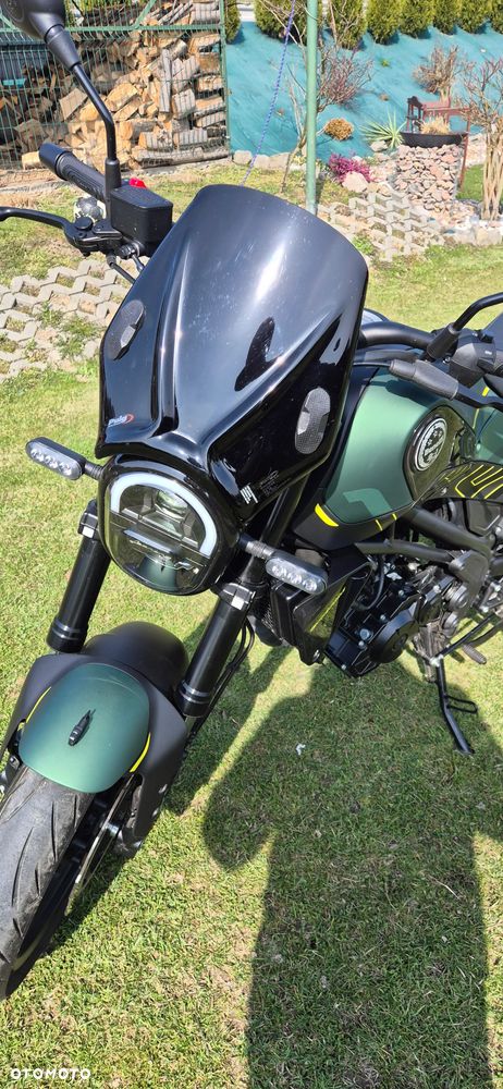 Benelli Leoncino - 14