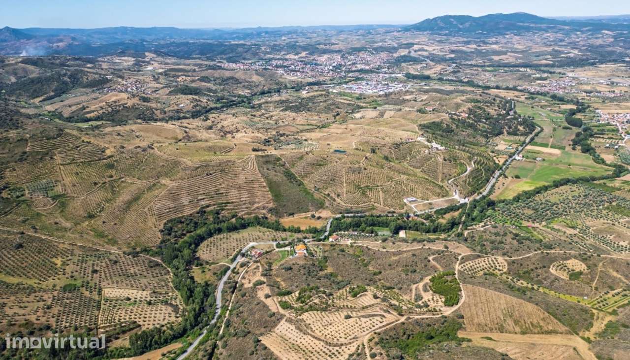 Quinta de Luxo no Douro Interior em Mirandela - Grande imagem: 4/25