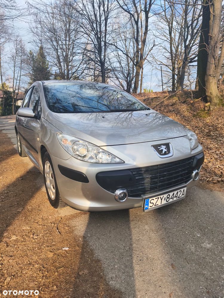 Peugeot 307 - 15