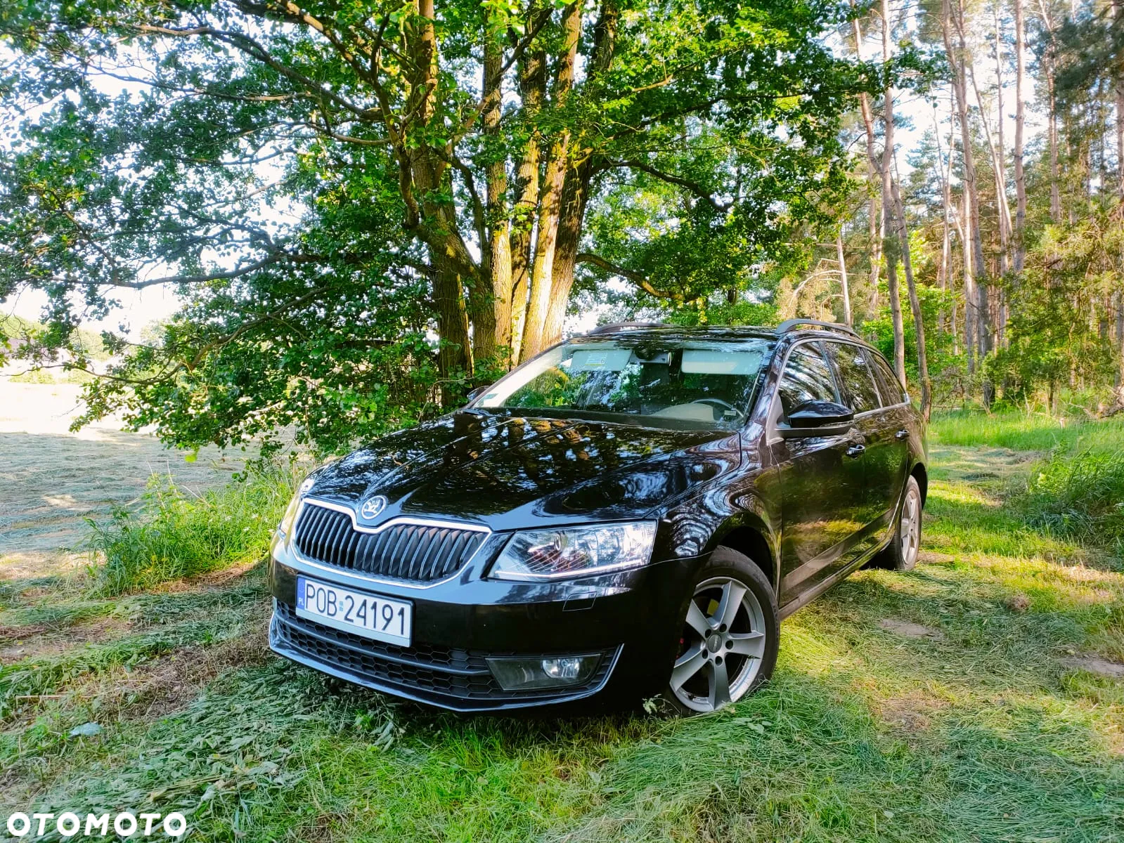 Skoda Octavia 1.6 TDI Ambition DSG - 9