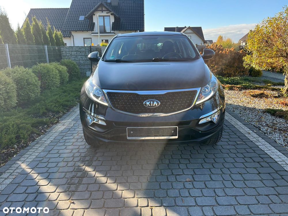 Kia Sportage - 19