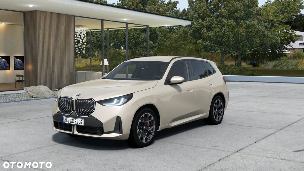 BMW X3 20 xDrive - 1