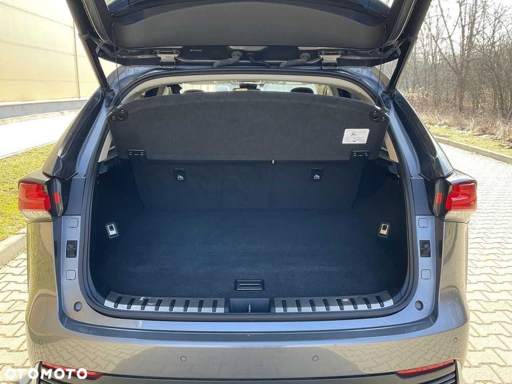 Lexus NX 300h F Impression AWD - 18