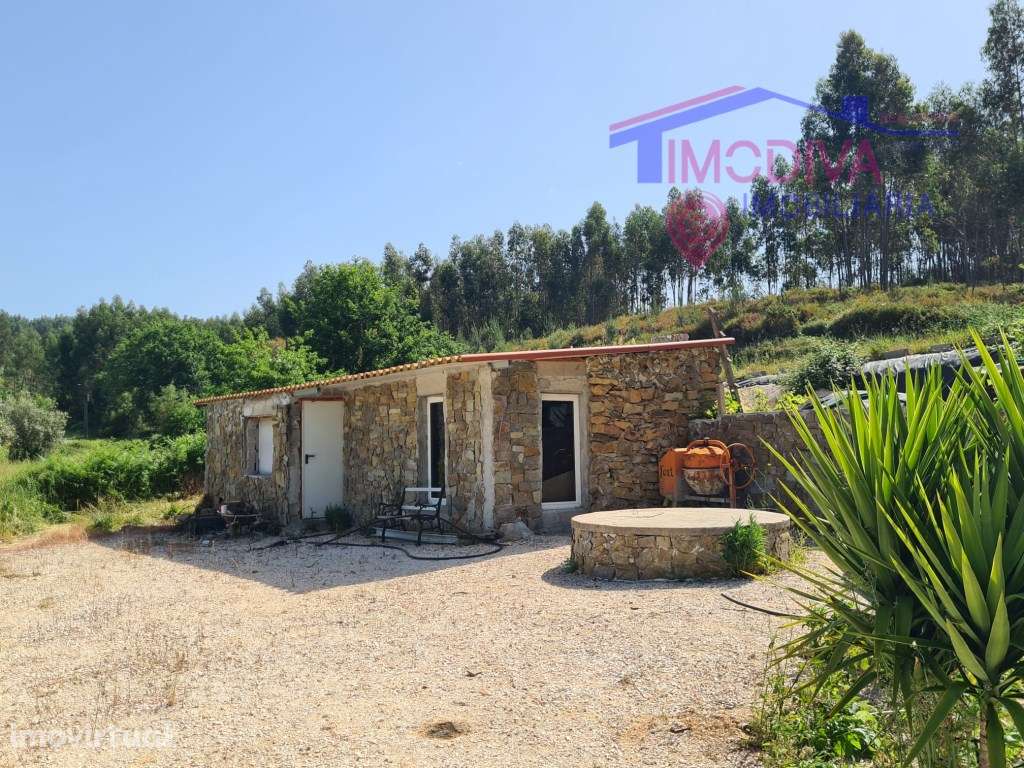 Terreno com casa de arrumos junto a ribeira, Figueiró dos Vinhos - Grande imagem: 5/34