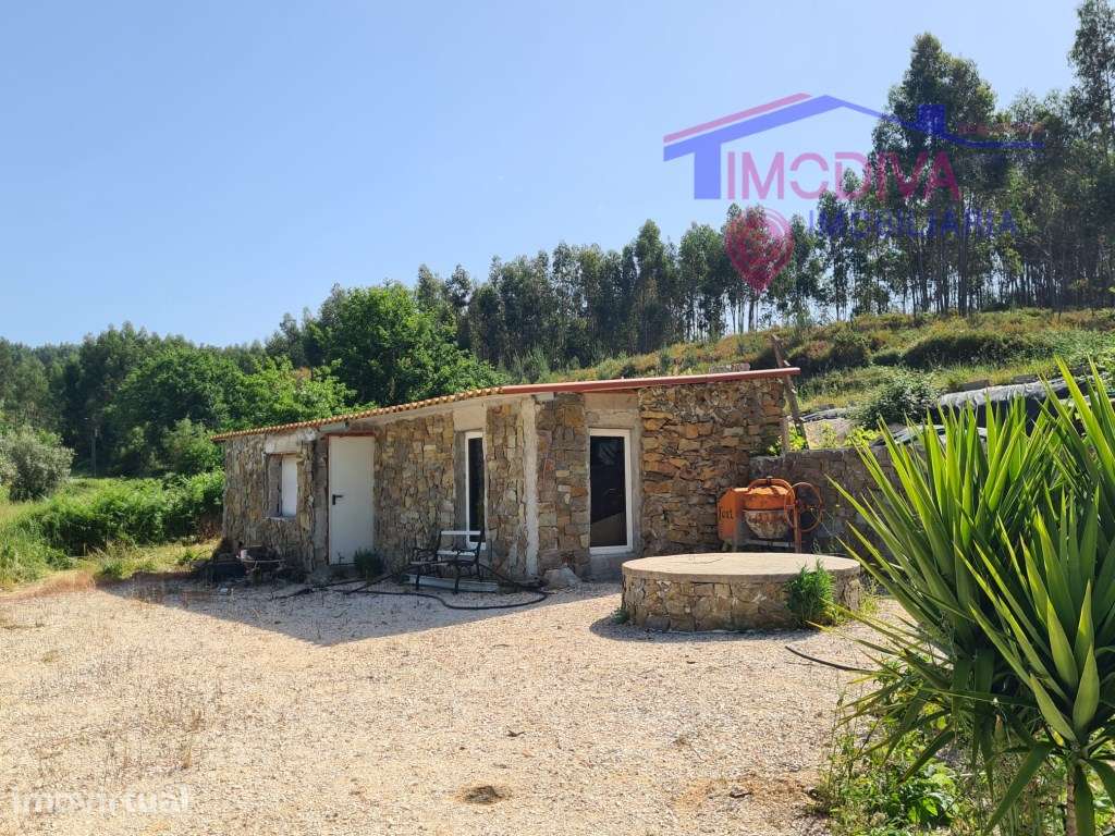 Terreno com casa de arrumos junto a ribeira, Figueiró dos Vinhos - Grande imagem: 5/34