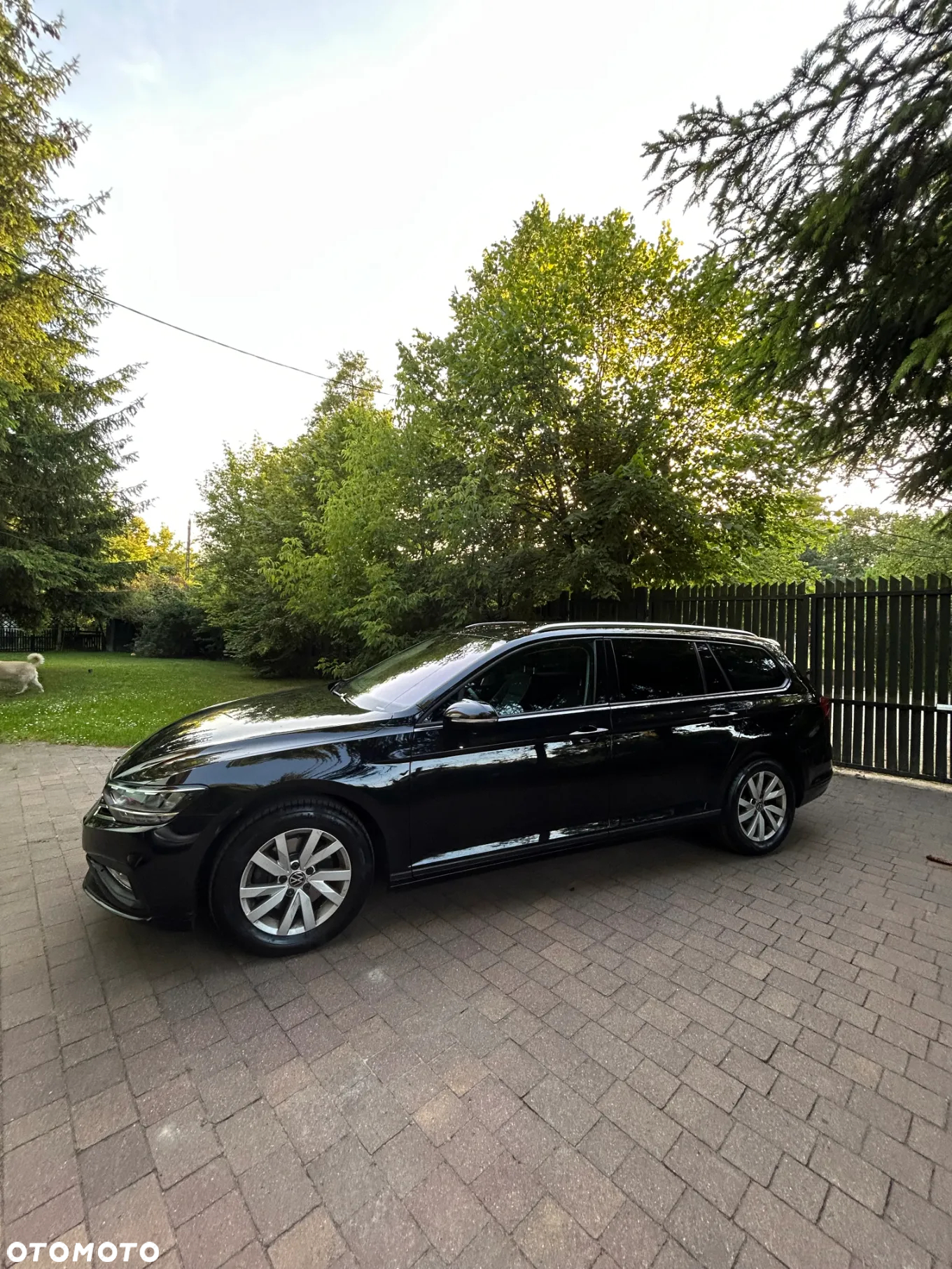 Volkswagen Passat 1.5 TSI EVO Essence DSG - 15
