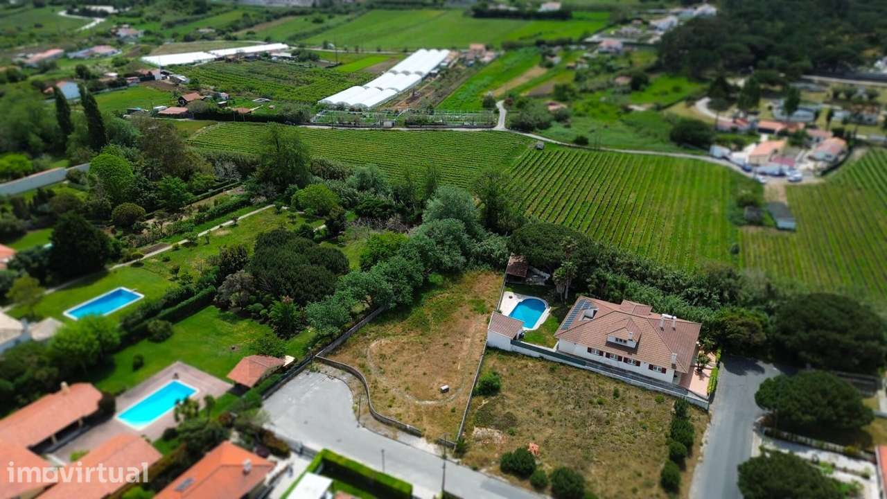 Construa a Sua Casa Entre a Serra e o Mar | Terreno Exclusivo em Colar - Grande imagem: 5/11