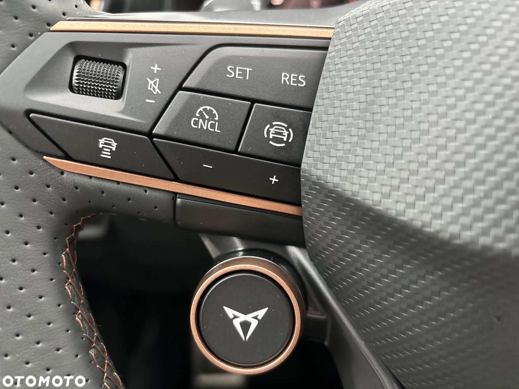 Cupra Formentor 1.5 TSI DSG - 24