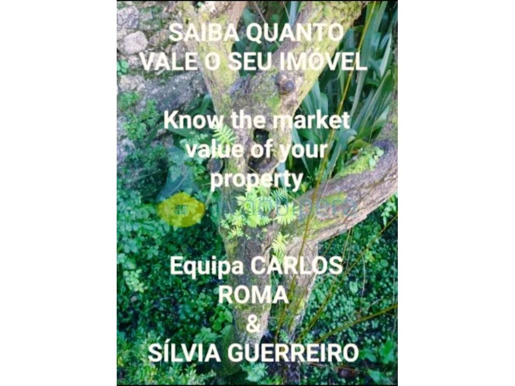 Terreno rústico - Bom acesso - Grande imagem: 4/4