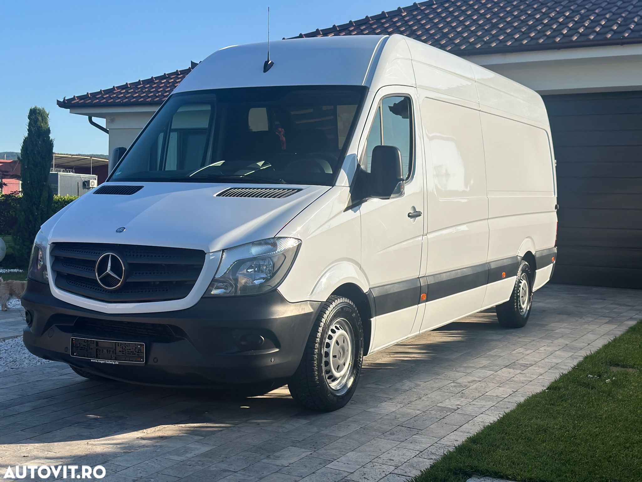 Mercedes-Benz SPRINTER 313 CDI MAXI - 1