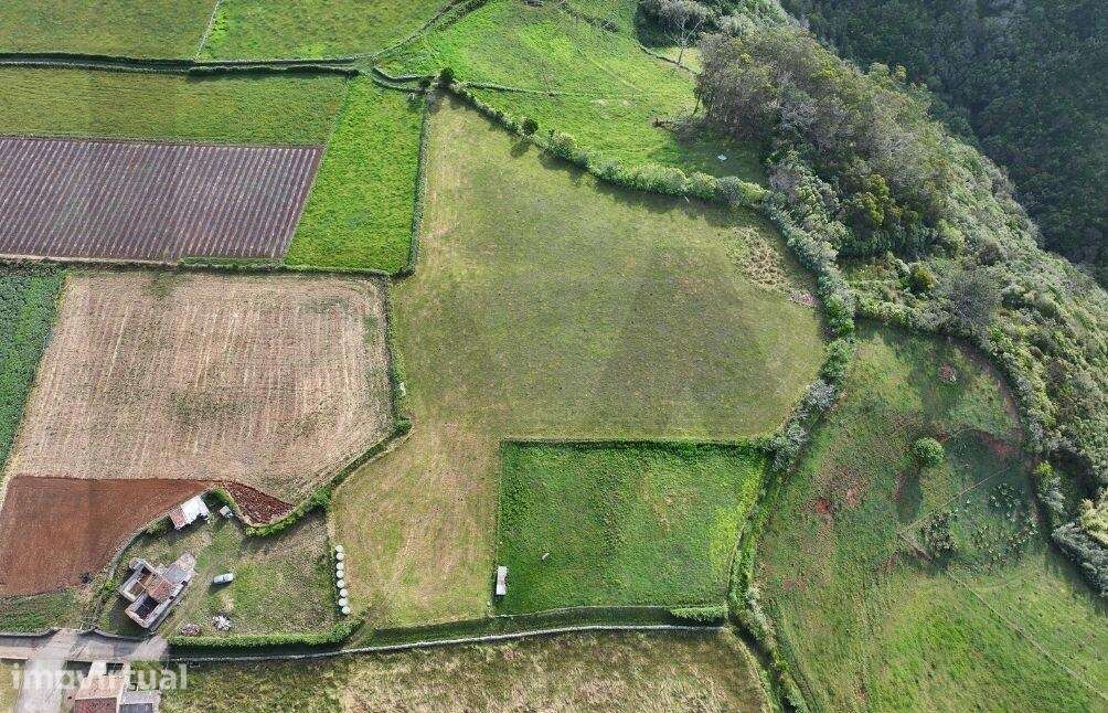 Terreno de 8990m2 com Vista Mar - Feteiras do nascente, Almagreira - Grande imagem: 3/9