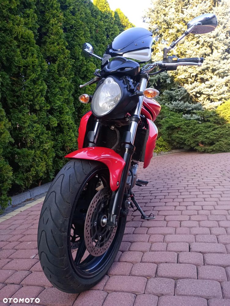 Suzuki Gladius - 19