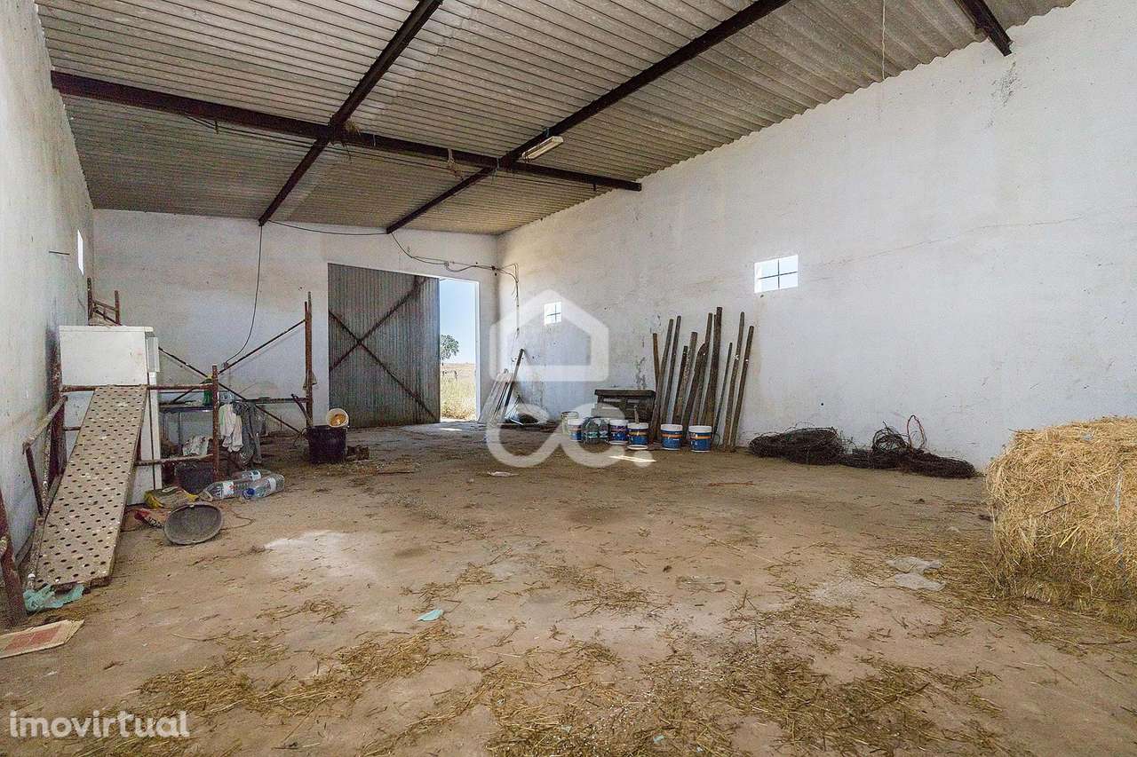 Terreno rústico de 3 hectares, com dependência agrícola, poço e tanque - Grande imagem: 5/29