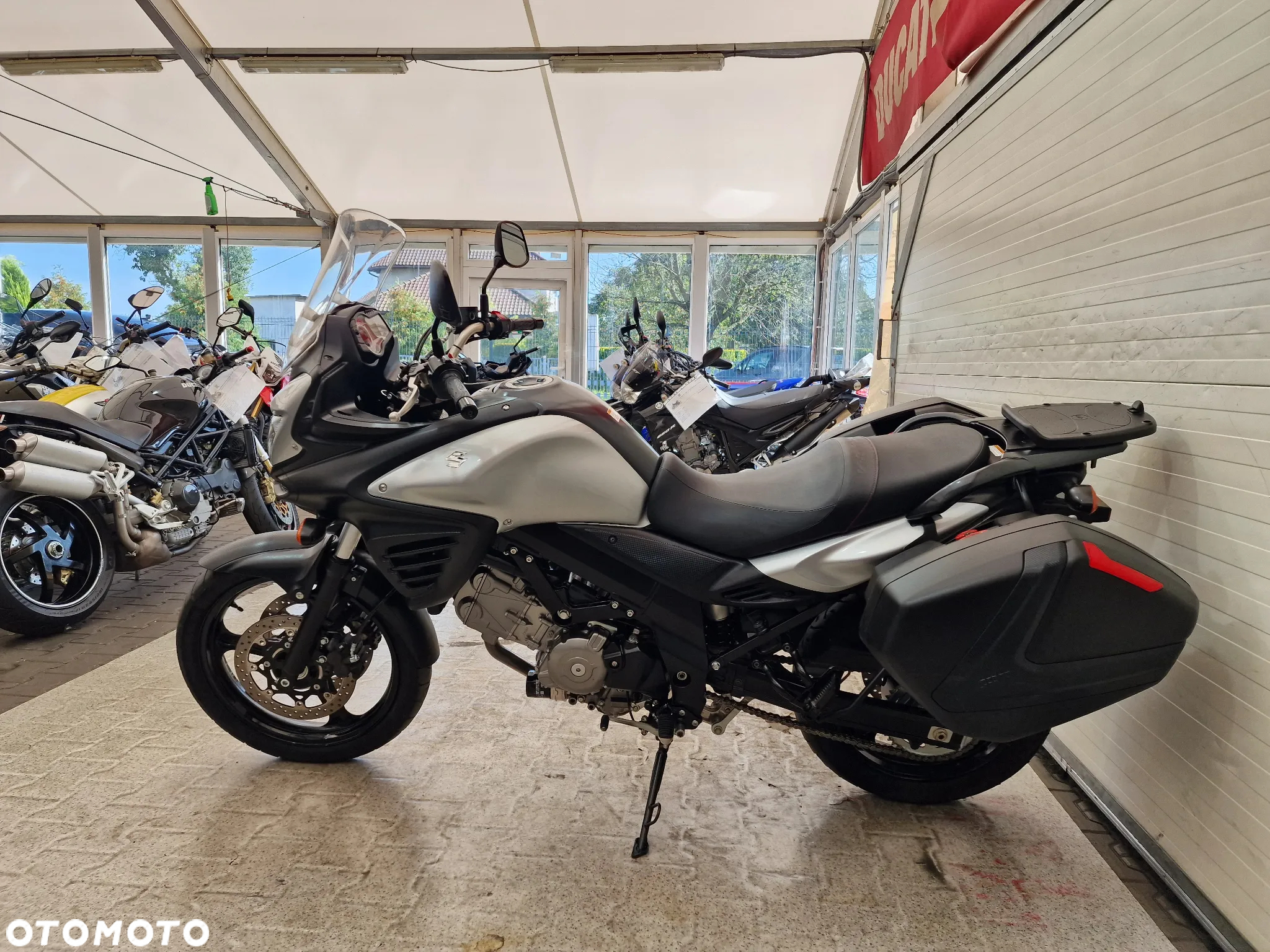 Suzuki DL - 12