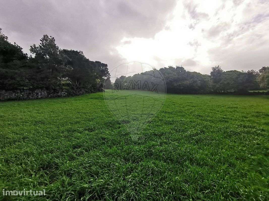 Terreno  para venda - Grande imagem: 2/17