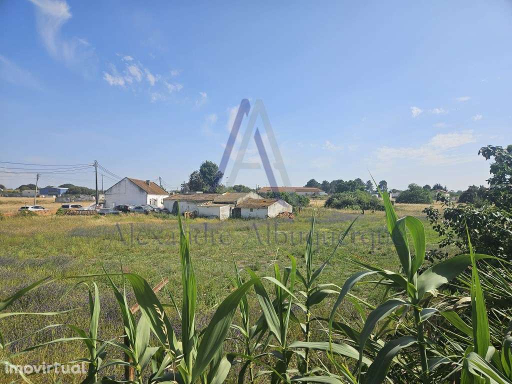 Quinta com 3 Habitações | Pinhal Novo | Terreno 5.400 m² - Grande imagem: 3/39