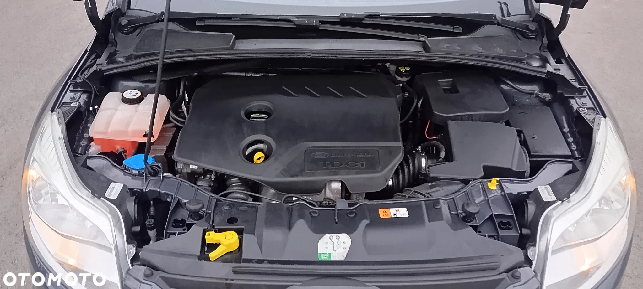 Ford Focus 1.6 TDCi DPF Champions Edition - 9