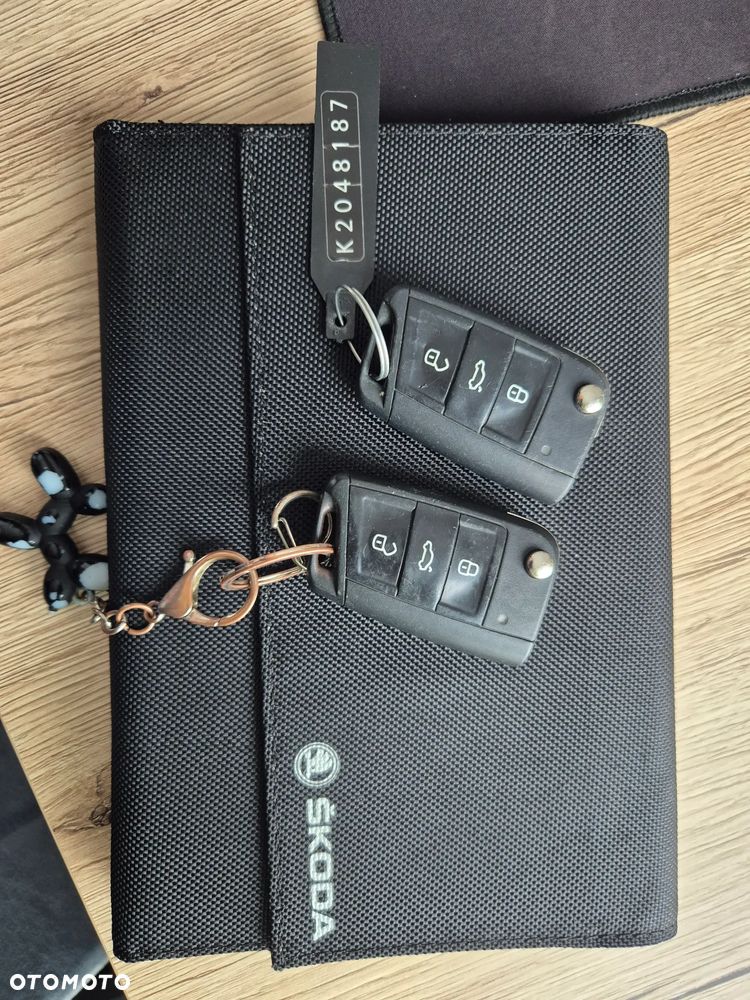 Skoda Karoq 1.5 TSI ACT DSG Style - 16