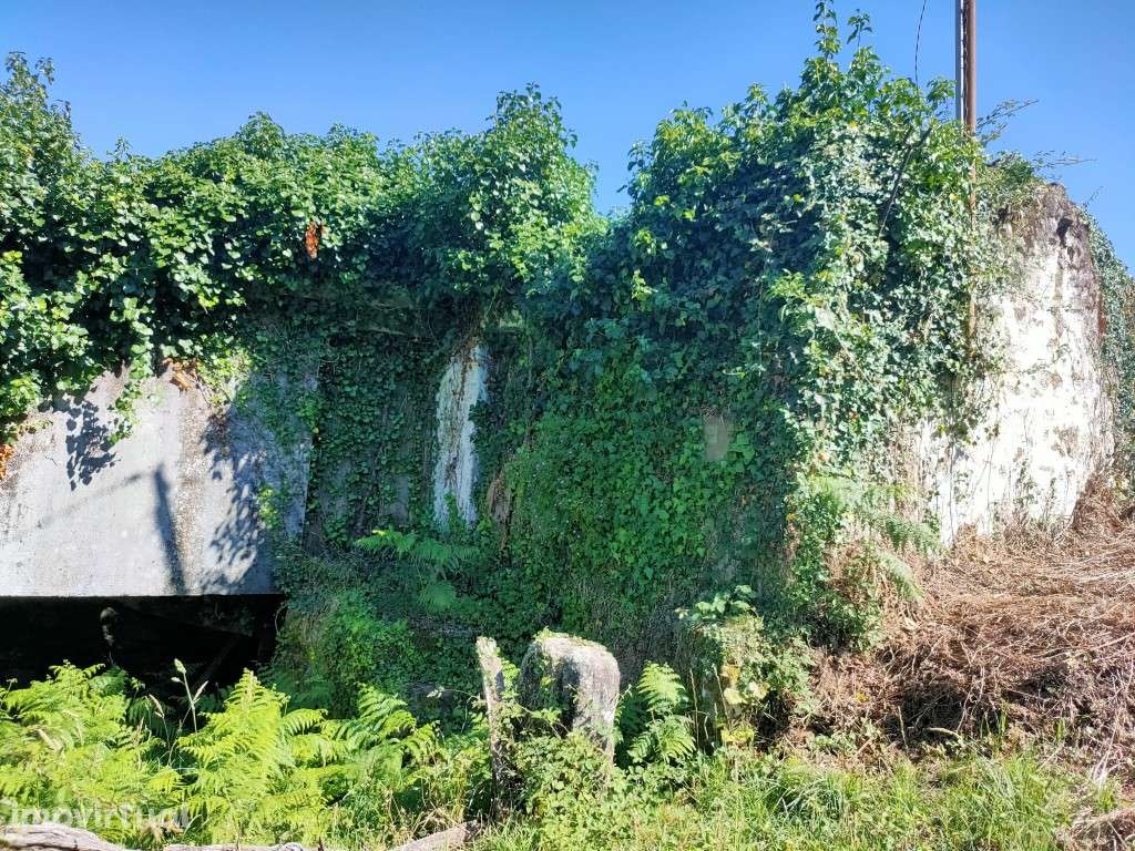 Moradia em ruína - Grande imagem: 2/8