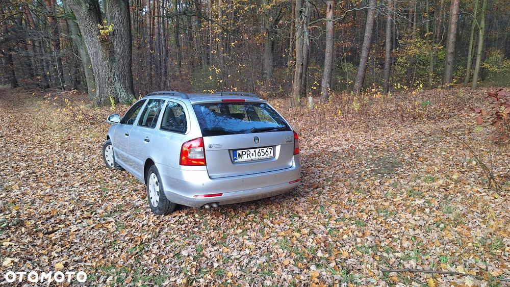 Skoda Octavia 1.9 TDI Mint - 4