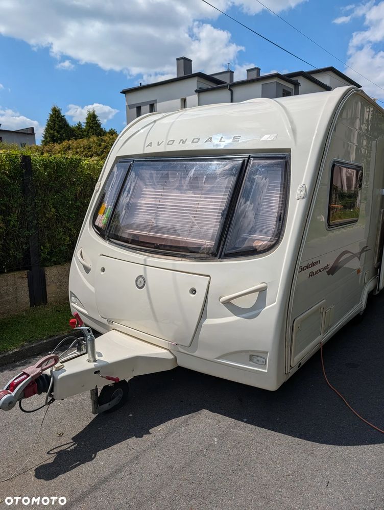 Avondale Golden Avocet - 40