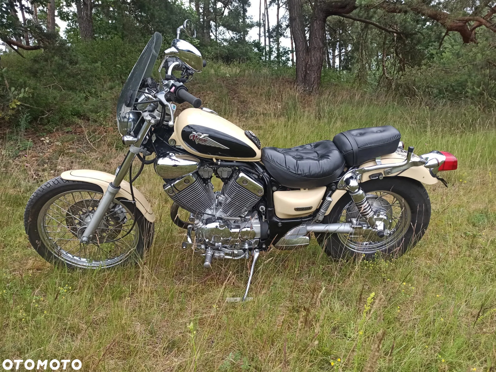 Yamaha Virago - 2
