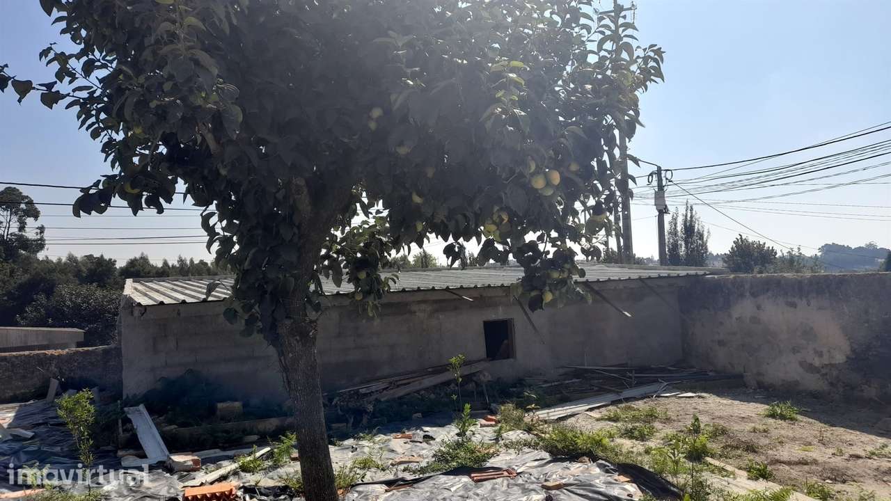 Moradia Térrea, em S. Paio de Oleiros, concelho de Santa Maria da Feir - Grande imagem: 2/21