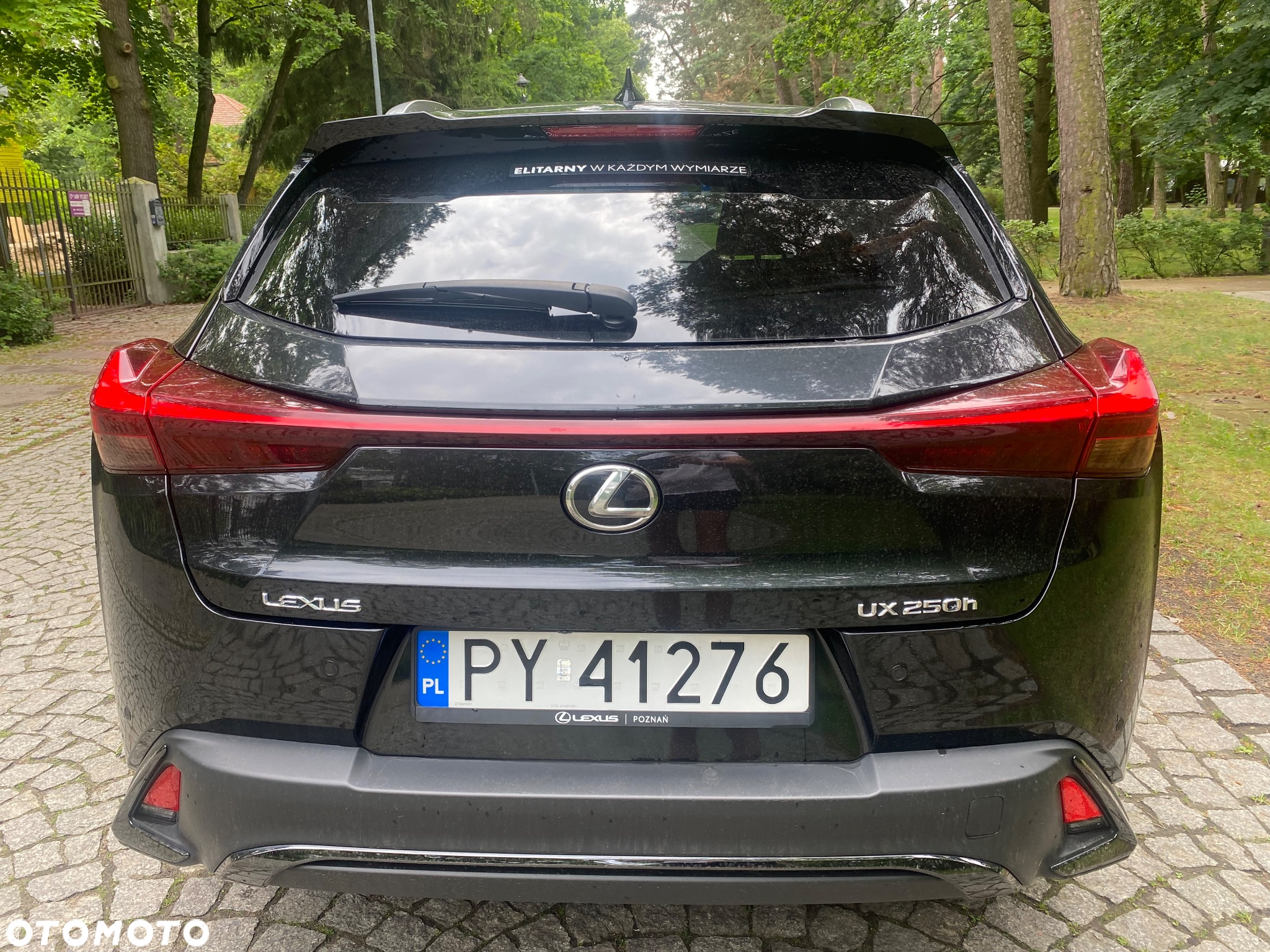 Lexus UX 250h GPF F Sport Design 2WD - 12