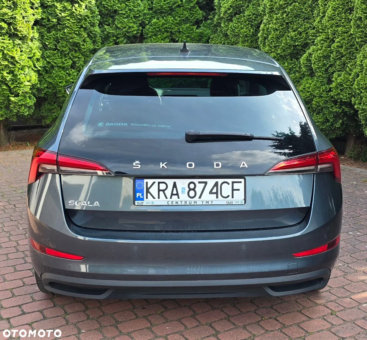 Skoda Scala - 5