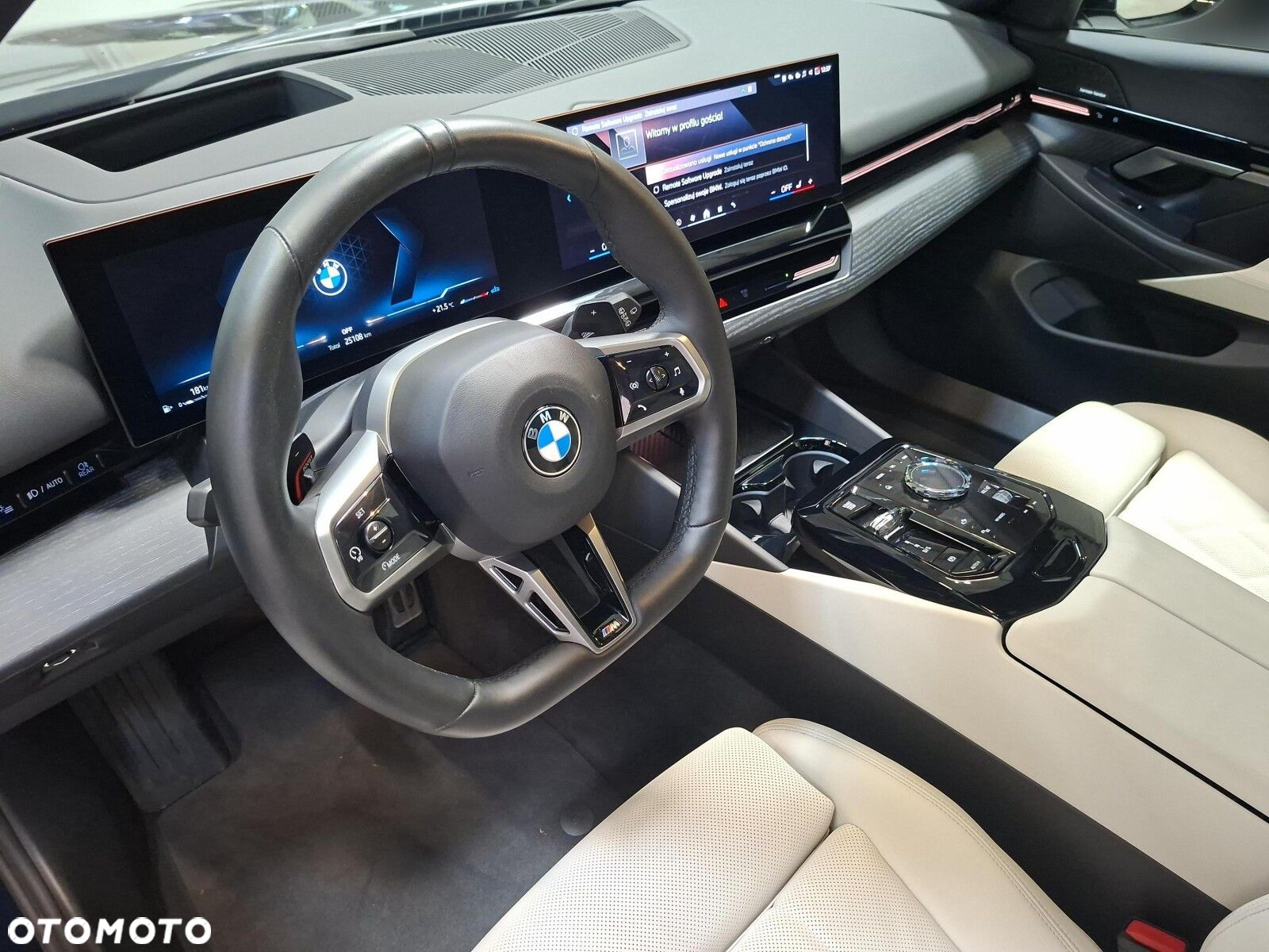 BMW Seria 5 - 10