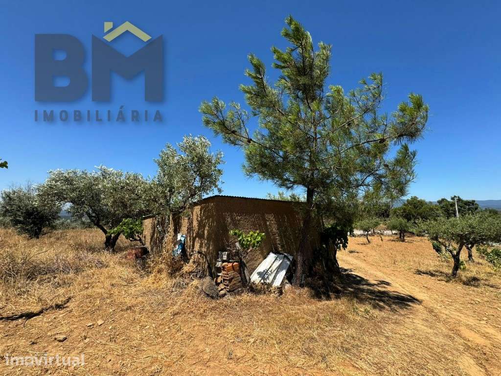 Terreno Rústico com 4.600 m² para venda em Juncal do Campo! - Grande imagem: 5/23