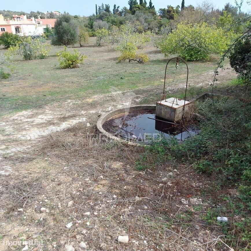 Propriedade 5480m2 em Lagos com localização premium - Grande imagem: 2/9