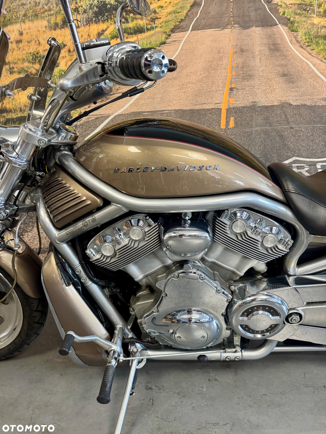 Harley-Davidson V-Rod Street Rod - 12
