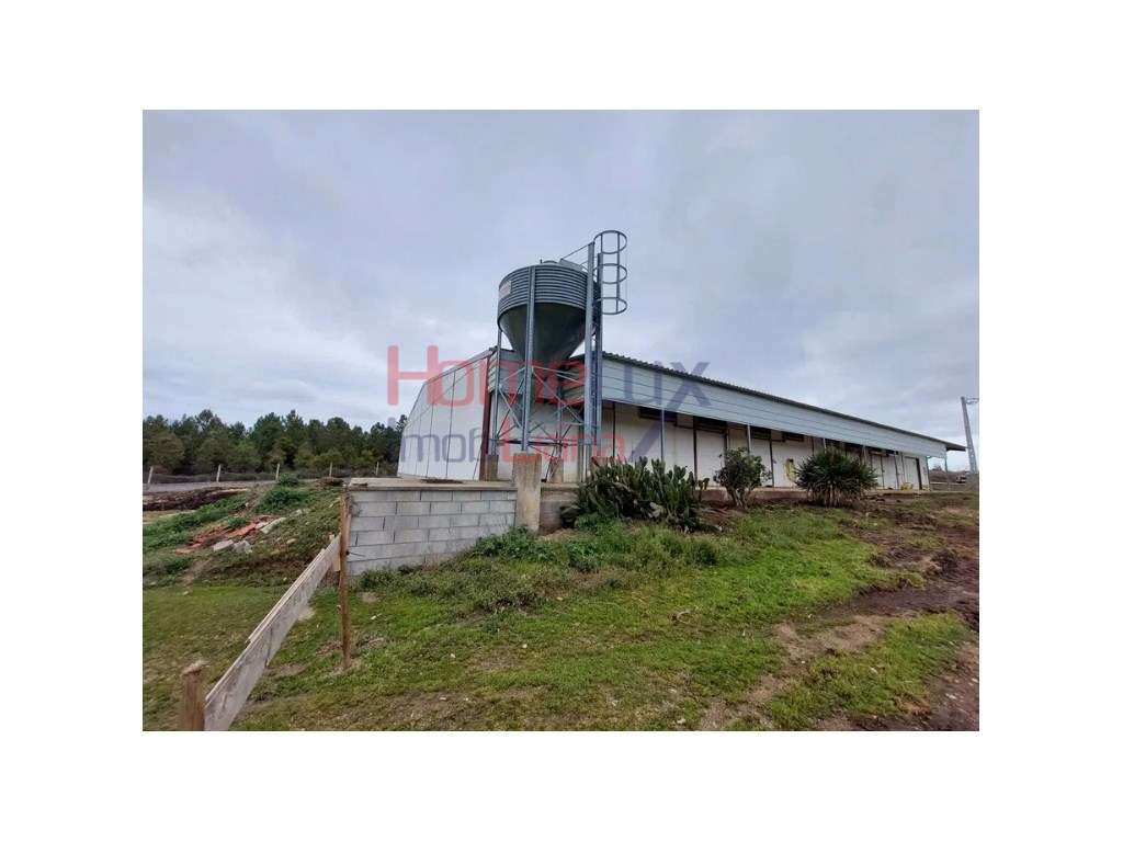 Negócio de Cunicultura para venda em Sabugal, Guarda - Grande imagem: 3/30