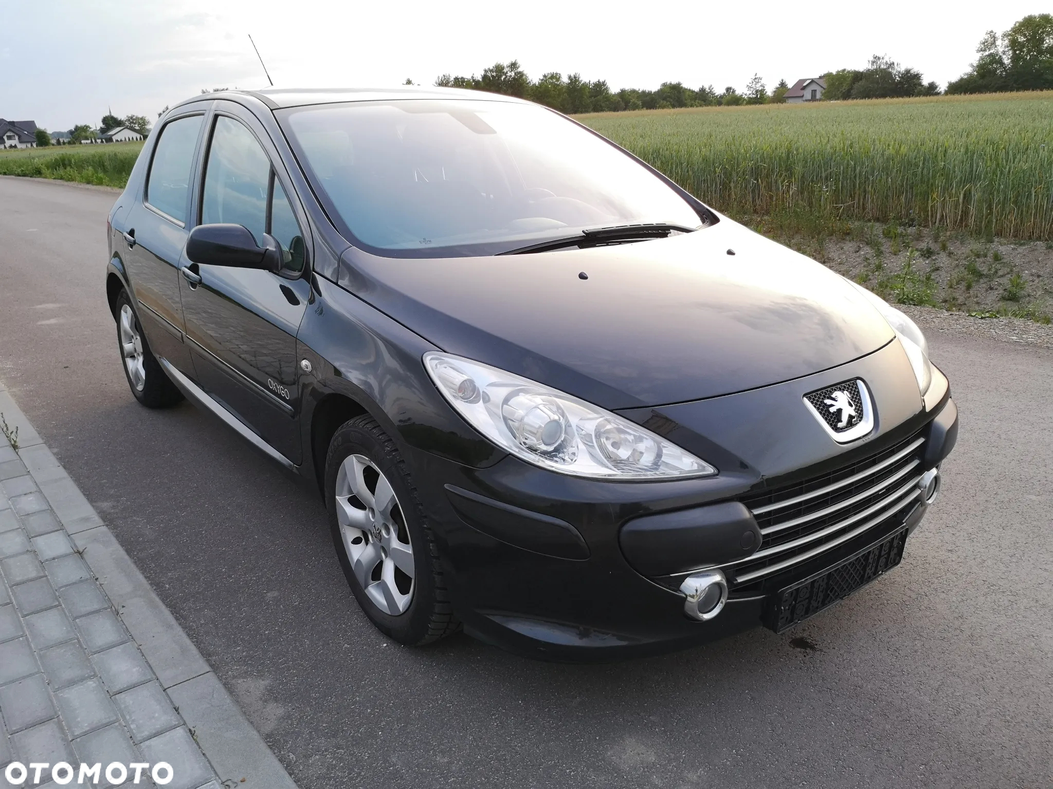 Peugeot 307 110 OXYGO - 29